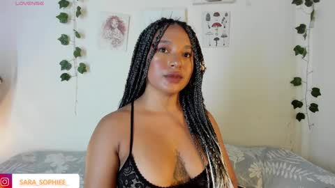 Snapshot of sara_sophiee chatting on January 2025 01:13:02 AM sara sofia online show from January 2025 01:13:02 AM