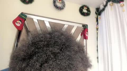 SARA 730 A 200 PM  online show from December 2025 01:40:02 PM