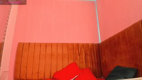 Snapshot of saracastiillo chatting on February 2025 03:42:01 PM Sara Castillo online show from February 2025 03:42:01 PM