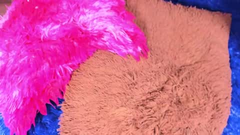 Sary  online show from April 2026 11:27:01 AM