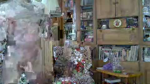 sasalimo online show from April 2026 09:51:02 AM