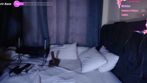 andrea harding online show from January 2026 07:16:02 PM