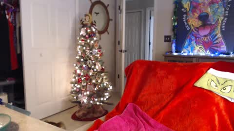 Snapshot of sassybeaver chatting on January 2025 07:41:02 AM Trish online show from January 2025 07:41:02 AM