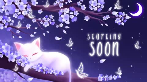 Sassy Sami Kittyn online show from March 2025 06:59:01 AM