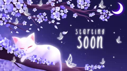 Sassy Sami Kittyn online show from March 2025 05:05:02 AM