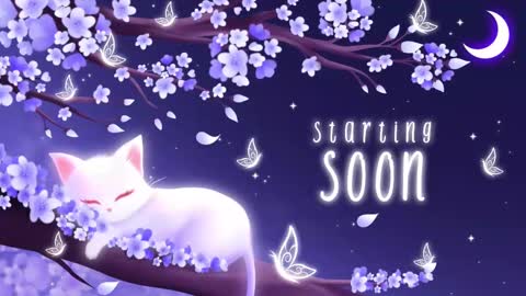 Sassy Sami Kittyn online show from September 2025 05:31:02 AM