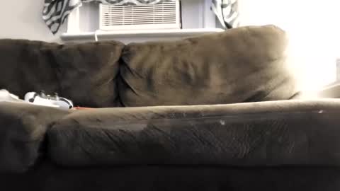 sayhi2mylilguy online show from March 2025 08:23:02 AM