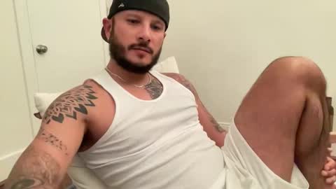 sbm84 online show from March 2026 03:41:02 AM