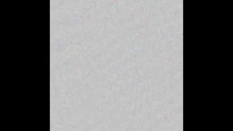 Venus online show from February 2025 02:24:01 PM