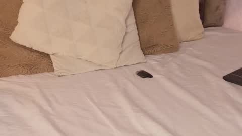 Scarleth  online show from October 2025 06:14:02 AM