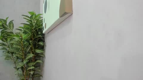 Scarlett 3 online show from December 2025 03:12:02 AM