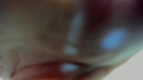 Scarlett zin follow me online show from March 2026 04:51:01 PM