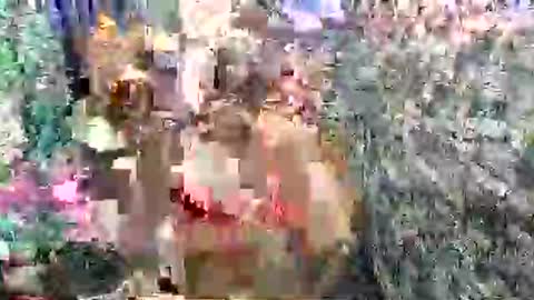 SCAS ANGEL S online show from April 2026 02:42:02 AM