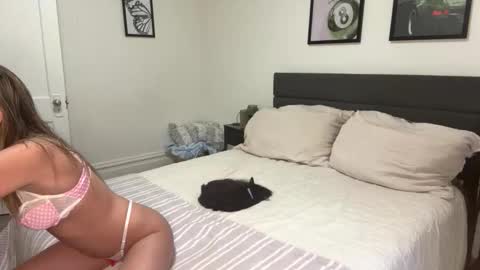 Snapshot of scarletterose_504259 chatting on February 2026 09:46:01 PM Scarlett online show from February 2026 09:46:01 PM