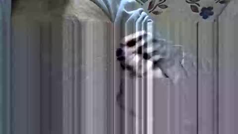 scorpion35hb online show from January 2026 05:28:02 PM