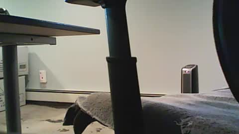 scottie813 online show from December 2024 08:32:01 PM