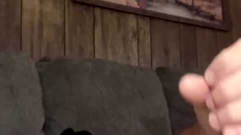 scottpolars online show from April 2026 04:17:02 PM