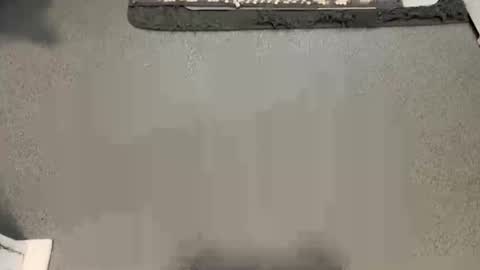 scottyc48 online show from February 2026 09:50:01 AM