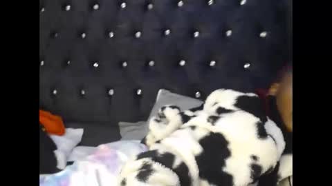 Snapshot of sebatrishaa chatting on October 2025 10:52:01 PM sebatrishaa online show from October 2025 10:52:01 PM