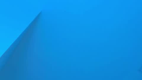 Sebastian online show from December 2025 03:45:02 AM