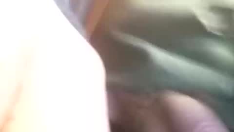 sebtin1979 online show from February 2026 02:53:02 AM