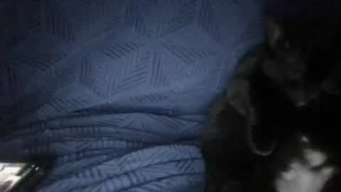 Sunny online show from March 2026 05:27:01 PM