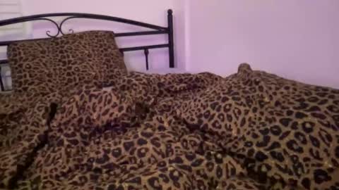 Aria online show from April 2026 06:16:02 AM