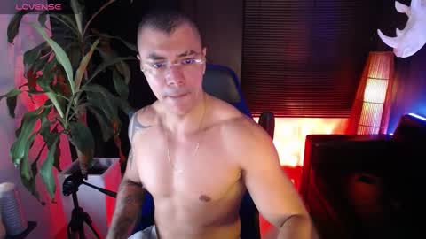 sed online show from December 2024 07:49:02 AM