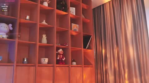 Chia online show from November 2025 04:46:01 AM