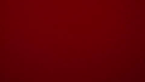 seeus24 online show from February 2025 05:39:02 PM