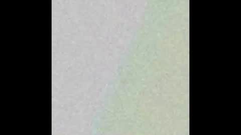 seewolf1000 online show from October 2025 12:33:01 PM