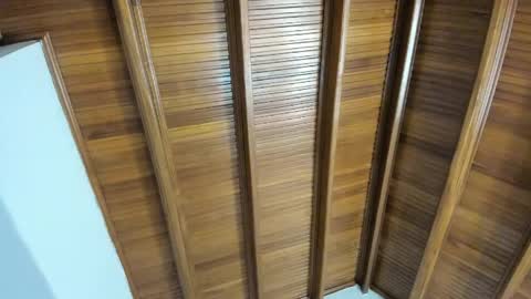 Selene online show from April 2026 07:44:02 PM