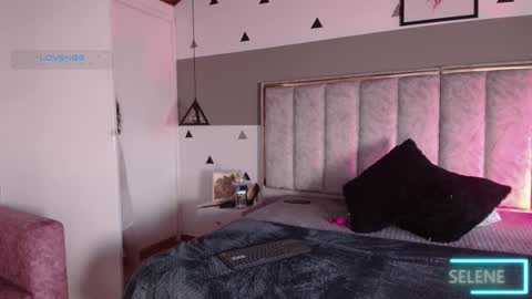 Snapshot of seleneblaze chatting on September 2025 11:25:01 AM Selene online show from September 2025 11:25:01 AM