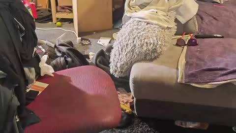 BiG DicK online show from April 2026 07:08:01 AM