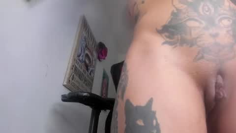  Selinna Kyle  online show from January 2025 12:37:02 AM