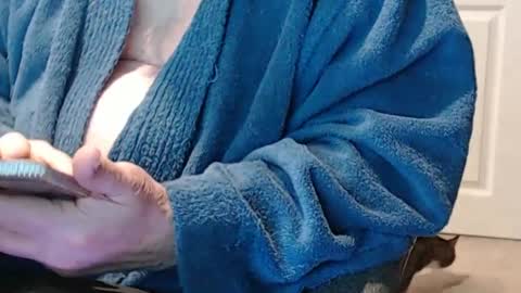 selkie2s online show from February 2025 12:40:01 PM