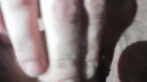 senditquick online show from January 2026 11:15:02 AM