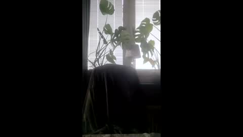 Sensi0ne online show from February 2025 01:35:02 PM