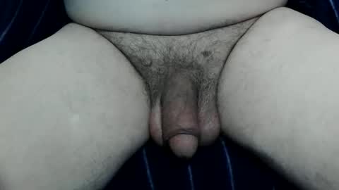 serviceforu here just for fun online show from May 2026 09:49:02 PM