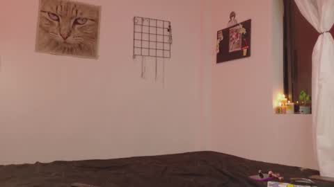 Alexis online show from November 2025 03:39:02 AM