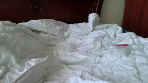 Katya online show from January 2025 12:41:02 PM