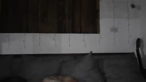 Snapshot of sexnchocolate chatting on January 2025 05:41:02 AM Trixy Rose online show from January 2025 05:41:02 AM