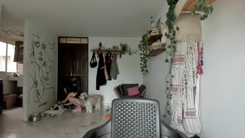         online show from March 2026 02:53:02 PM