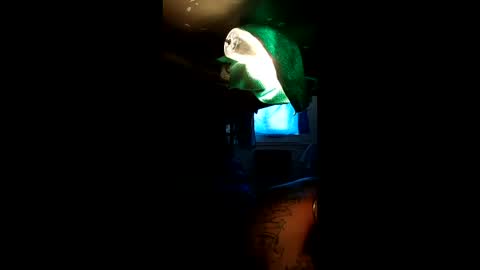 sextyplayboy online show from April 2026 07:44:01 PM