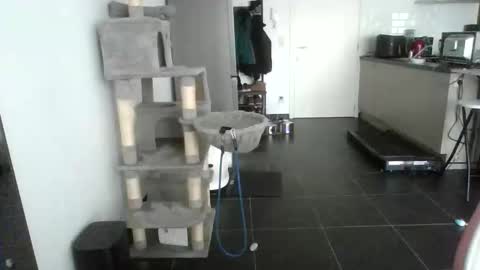 Snapshot of sexy866880 chatting on February 2026 10:45:02 AM sexy53 online show from February 2026 10:45:02 AM