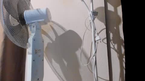 Alice online show from September 2025 11:06:02 PM