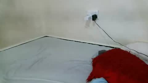 Snapshot of sexy_shanntel chatting on September 2025 03:56:02 PM sexy_shanntel online show from September 2025 03:56:02 PM