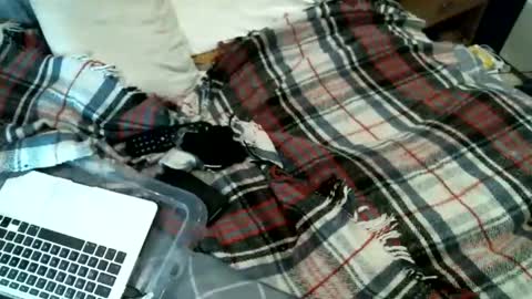 sexybiman74 online show from January 2026 10:52:01 PM