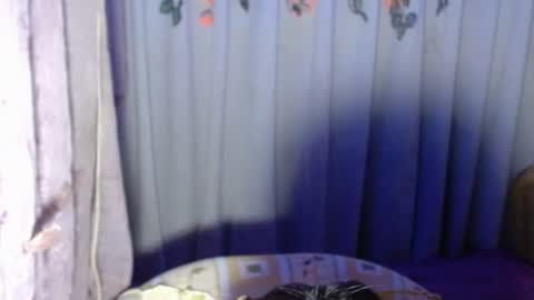 Snapshot of sexykagura chatting on May 2026 04:56:02 PM Kagura3 online show from May 2026 04:56:02 PM