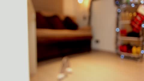 katalina larson online show from December 2024 06:03:02 AM